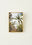 Daisy Dekoratif Çerçeve Gold (13x2x18 cm)