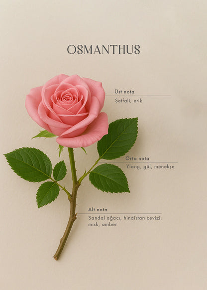 Osmanthus Oda Kokusu (250 ml)