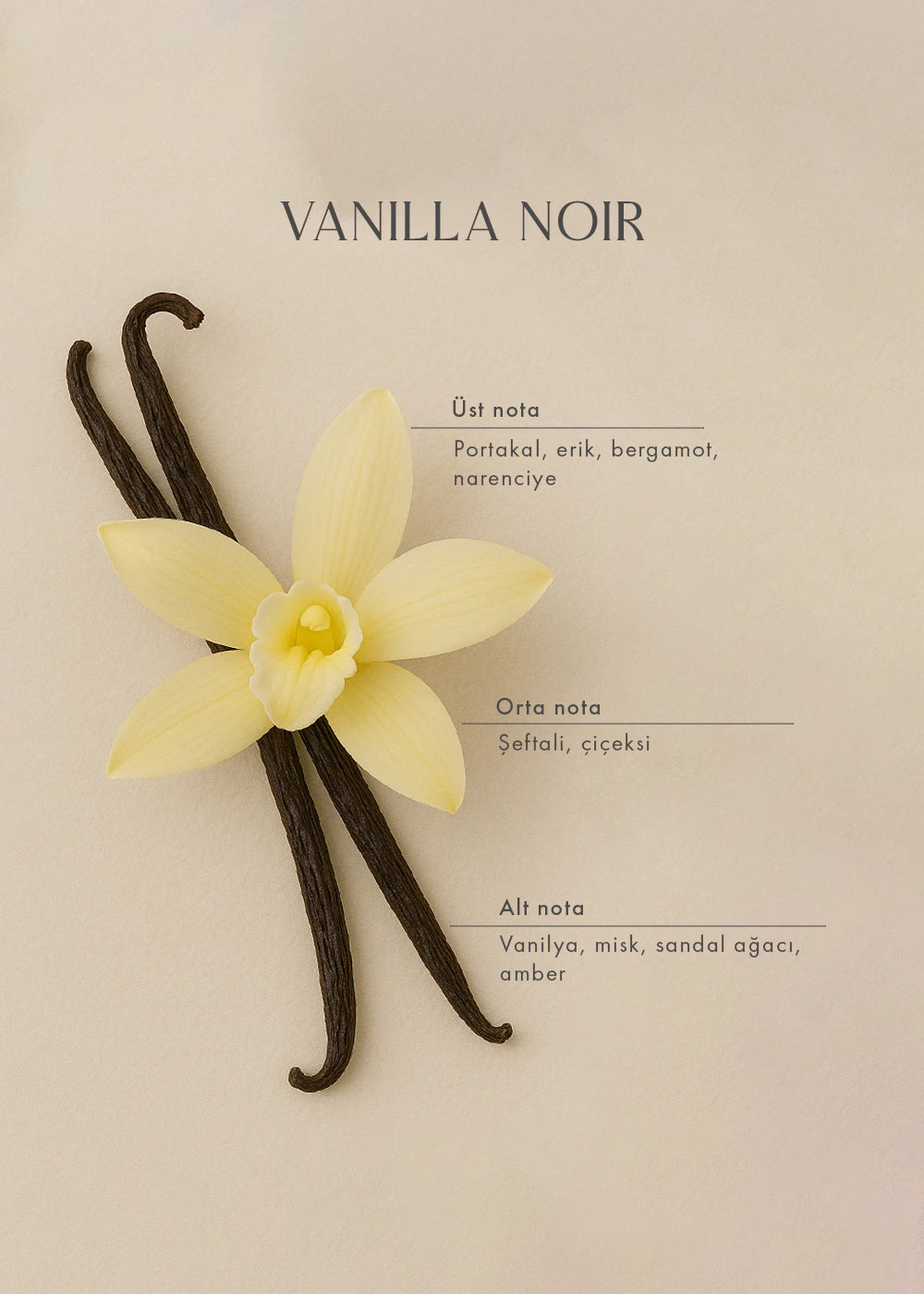 Vanilla Noir Oda Kokusu (250 ml) - 3