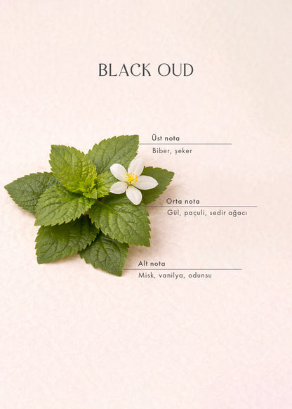 Black Oud Çubuklu Oda Kokusu Siyah (250 ml)