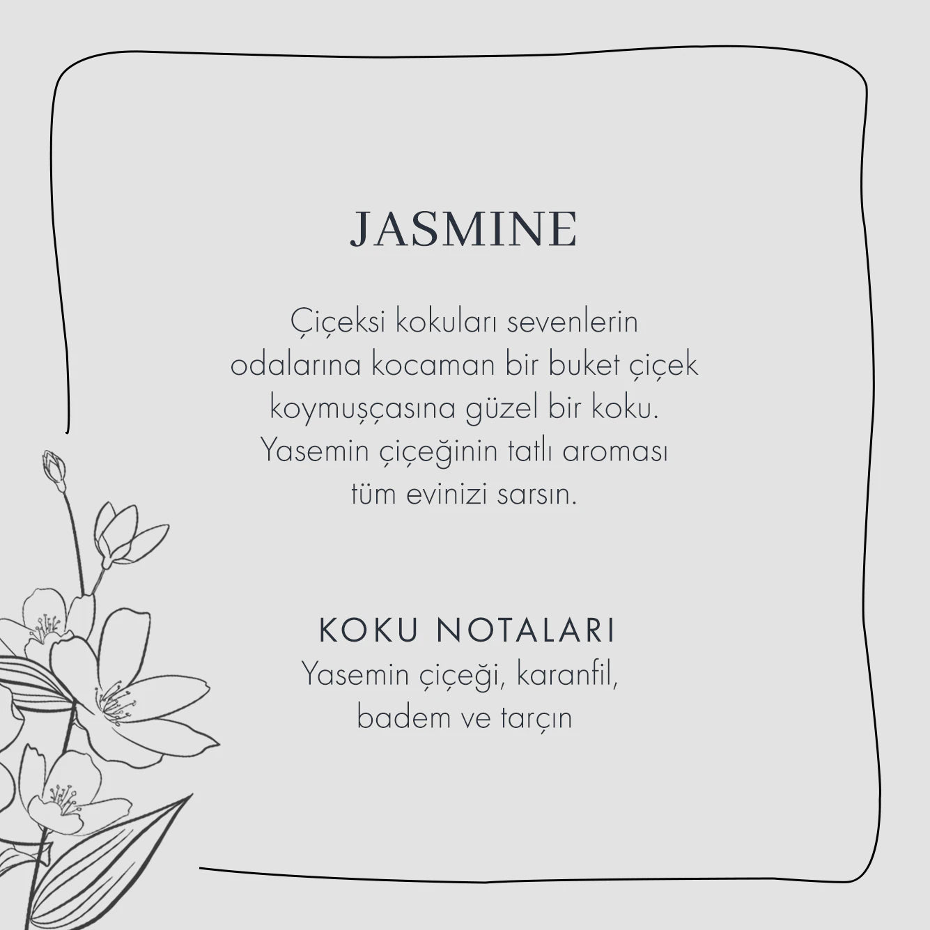 Jasmine Oda Kokusu (250 ml) - 3