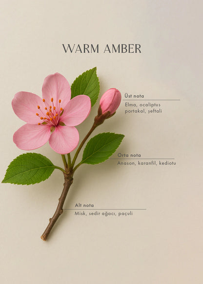 Warm Amber Oda Spreyi (500 ml)