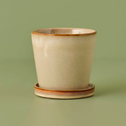 Cozy Porselen Saksı Krem (12,2x11,5 cm)