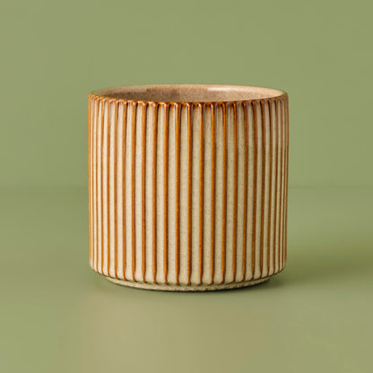 Chance Seramik Saksı Krem (14,5x13 cm)