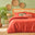 %100 Pamuk Saten Supreme Basic Çift Kişilik Nevresim Seti Kiremit (200x220 cm)