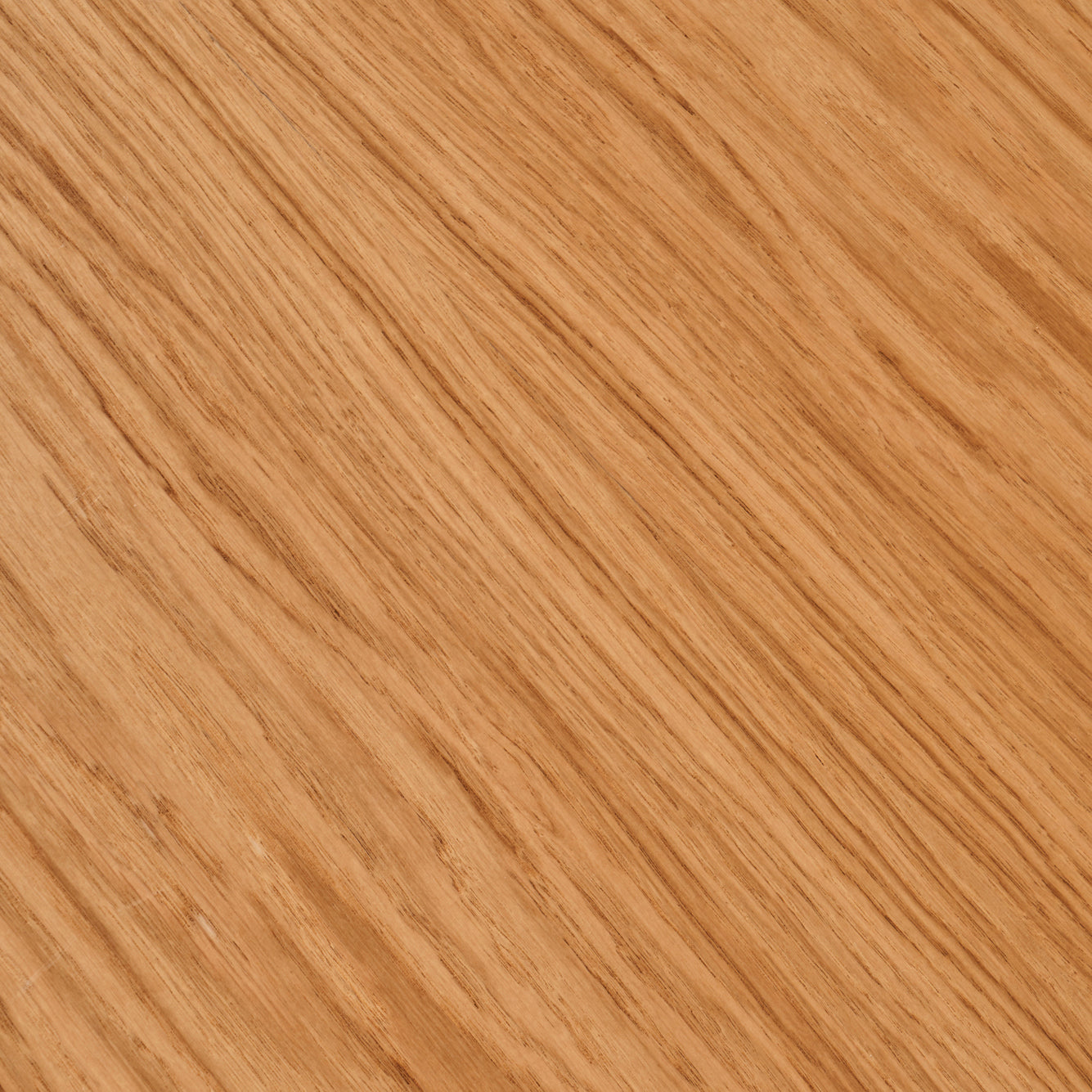 Ocaliptus Orta Sehpa Meşe (50x70x35 cm) - 4