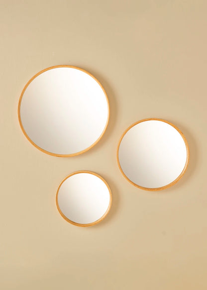 Ocaliptus 3'lü Takım Ayna Meşe (30-40-50 cm) - 2