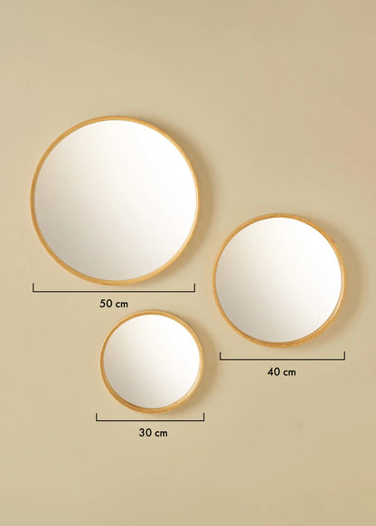 Ocaliptus 3'lü Takım Ayna Meşe (30-40-50 cm) - 5