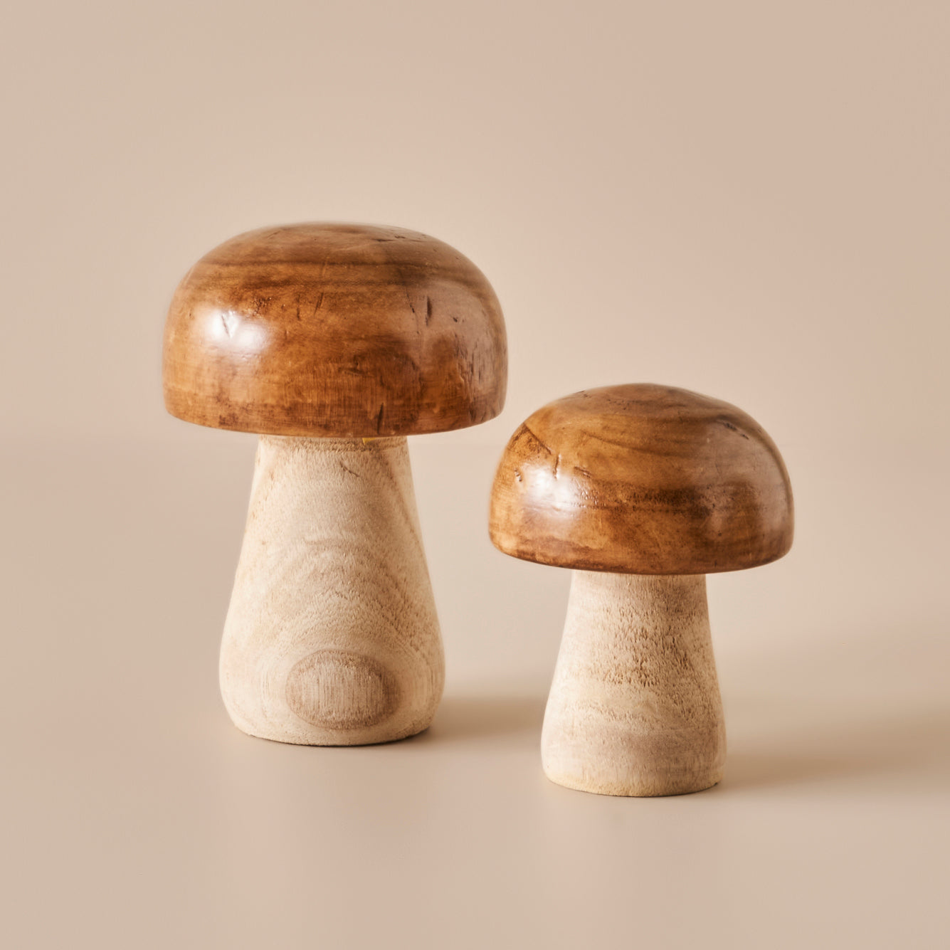 Mushroom Dekoratif Obje Naturel (12x15 cm) - 14x20 cm - NATUREL - 2