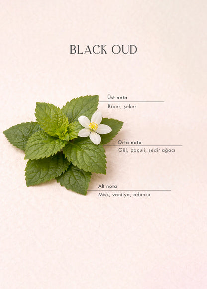 Black Oud Oda Spreyi Siyah (500 ml)