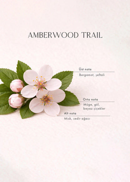 Amberwood Trail Oda Kokusu Sarı (100 ml) - 3
