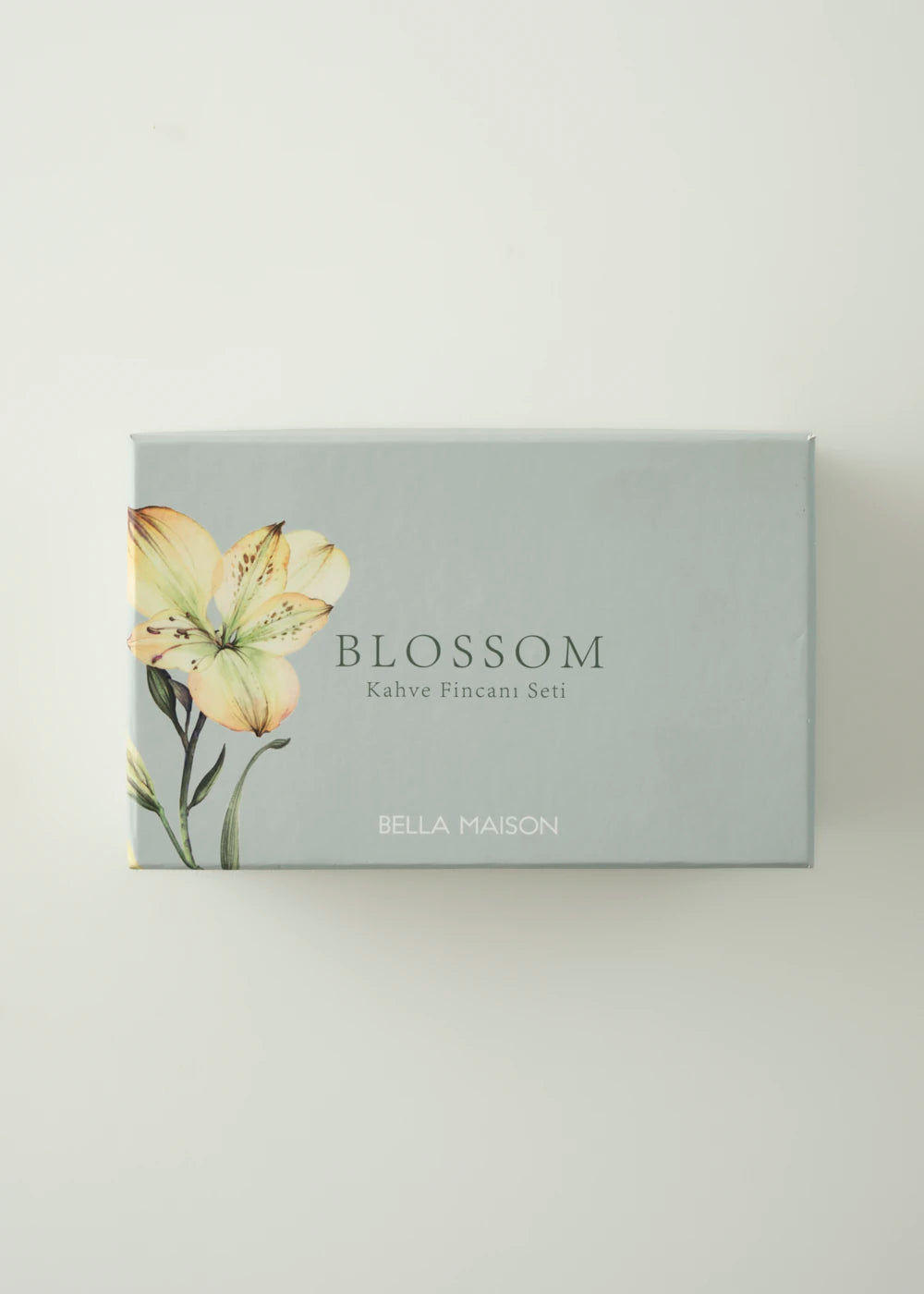 Blossom Porselen 2'li Kahve Fincanı Seti Bej (90 cc) - YEŞİL - 90 cc - 5
