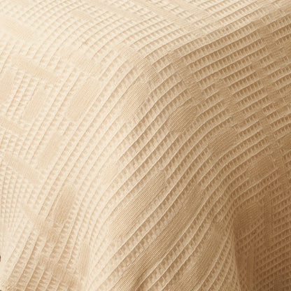 %100 Pamuk Bexley - 150x220 cm - VİZON - 4