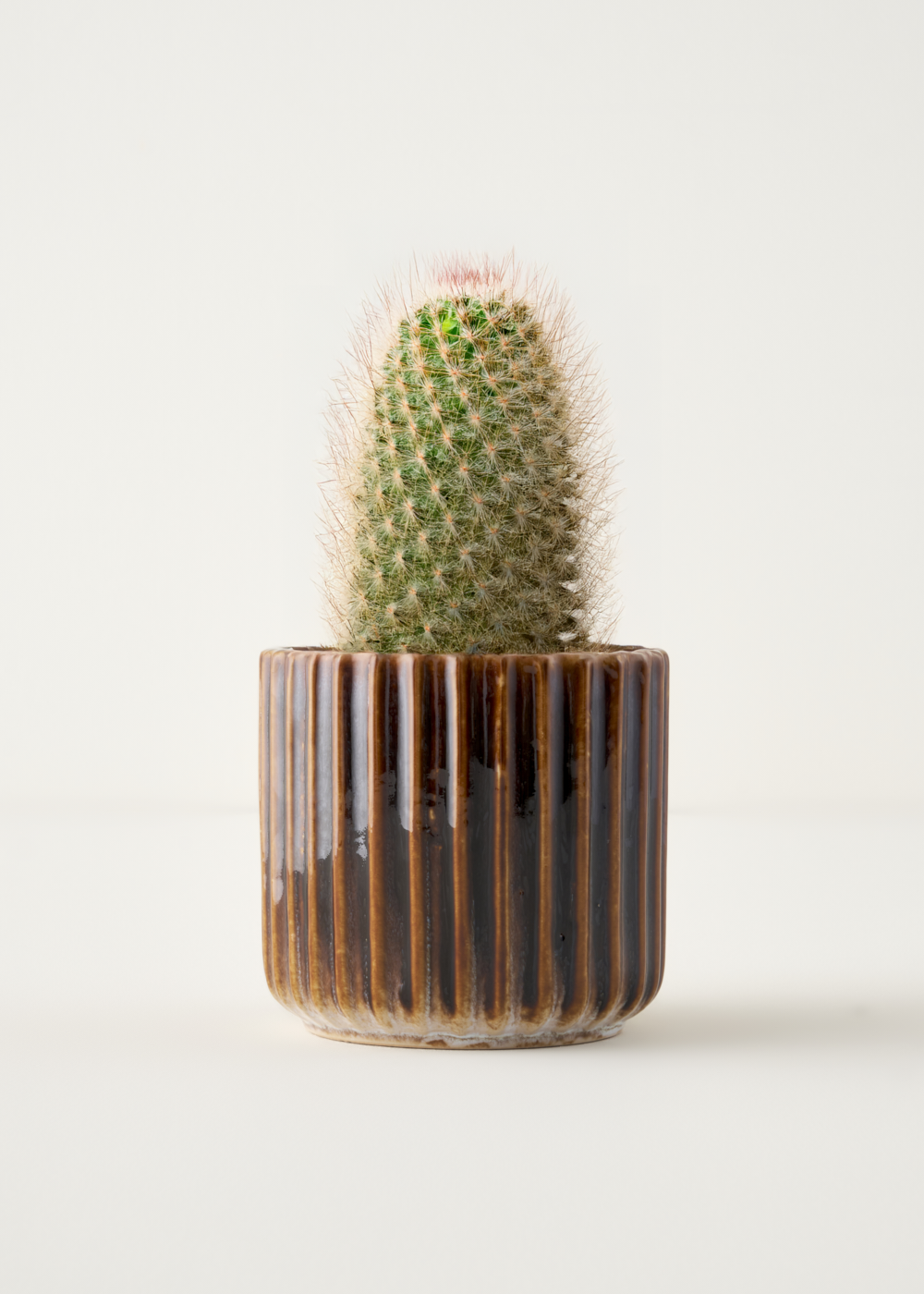 Lavea Saksı Gri (13x13x12 cm)