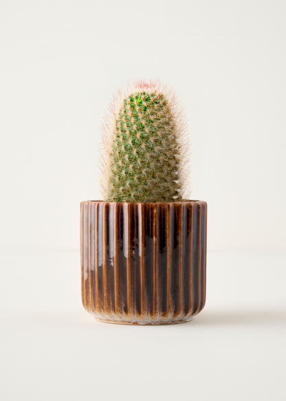 Lavea Saksı Gri (13x13x12 cm)