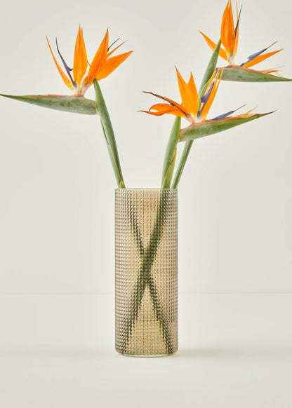Gina Vazo Bal Köpüğü (10x30 cm)
